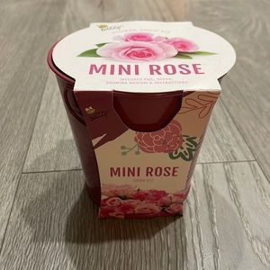 Mini rose grow kit